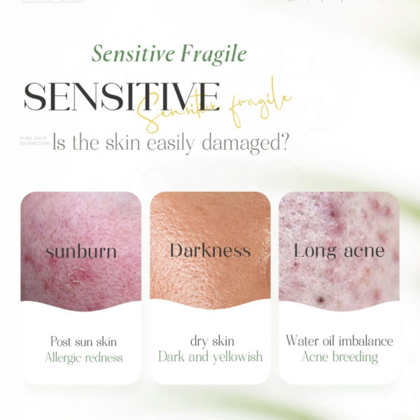 Aloe Vera Soothing Moisturizing Gel