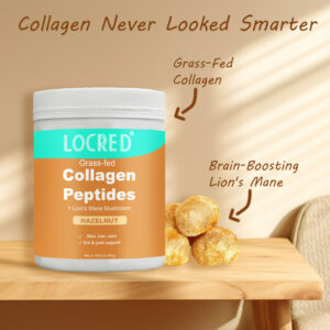 Hazelnut Lion’s Mane Collagen Powder