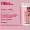 Organic Grass-Fed Whey Protein Plus Probiotics